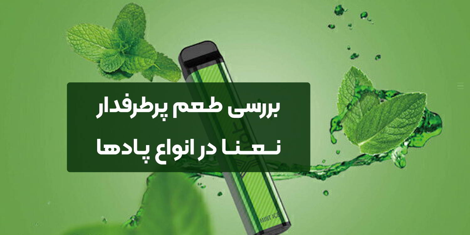 بررسی طعم پرطرفدار نعنا در انواع پادها