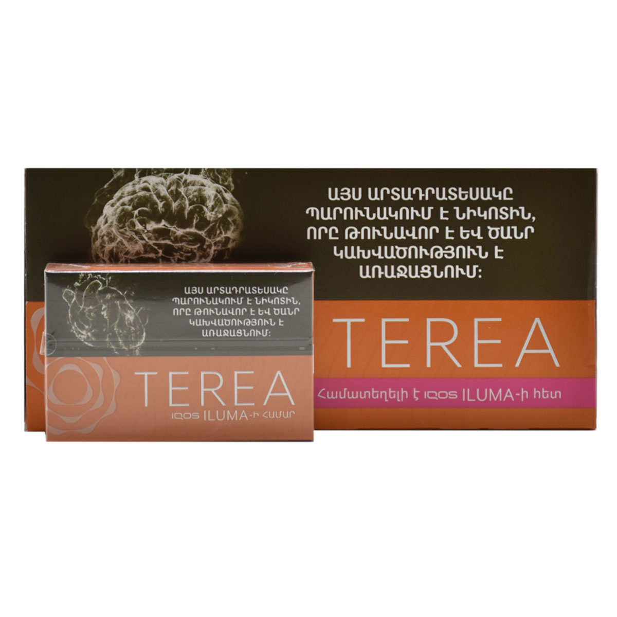 سیگار ترا امبر ارمنی/TEREA AMBER