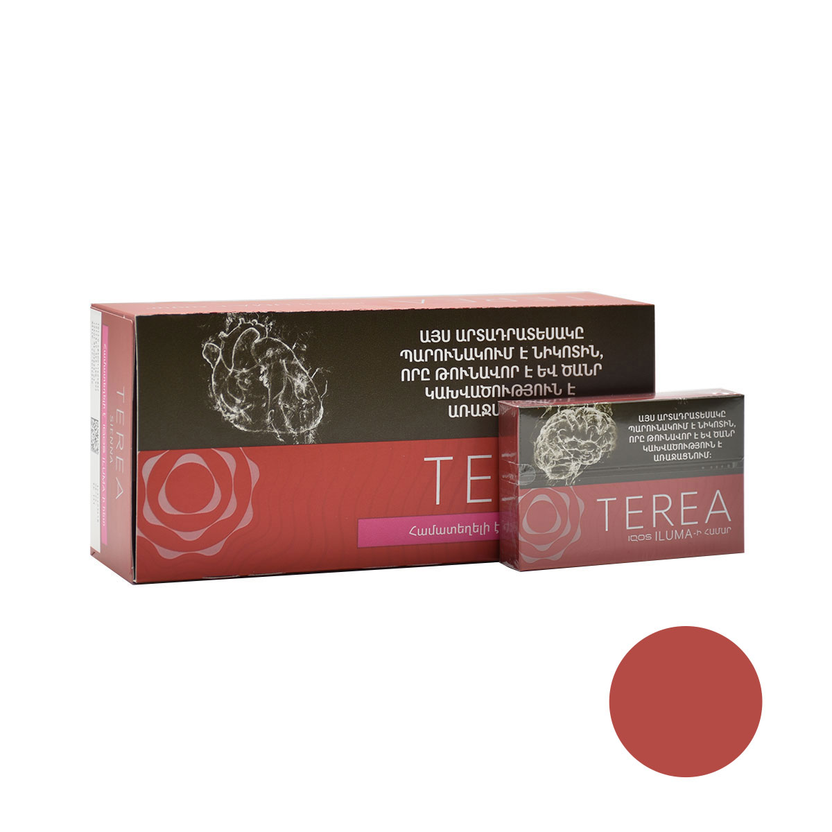 سیگار ترا سینا ارمنی/TEREA Sienna Armania