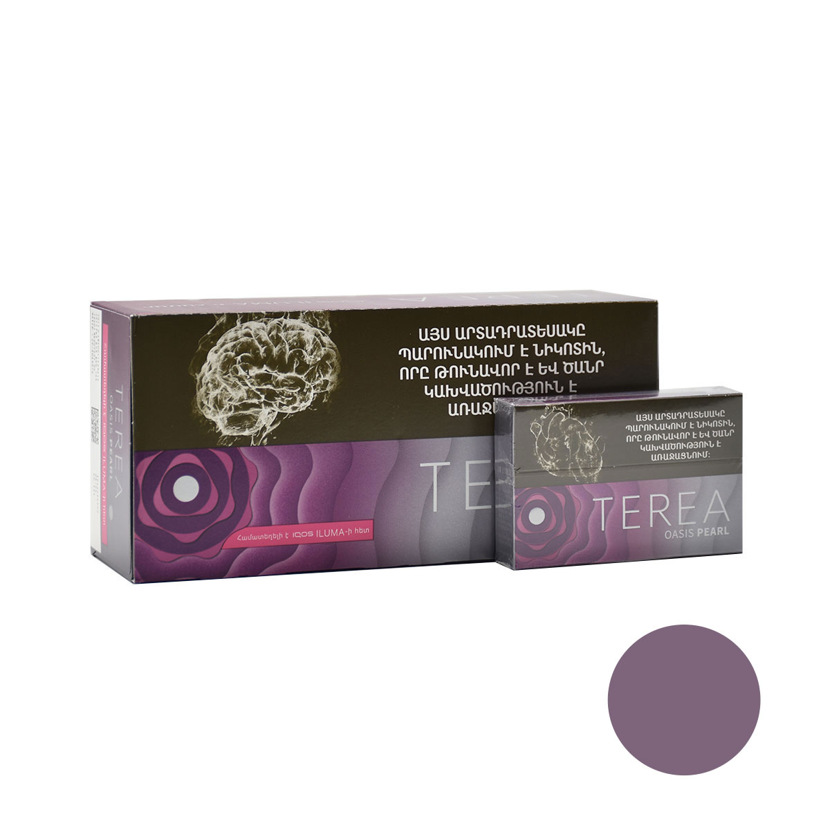 سیگار ترا اوسیس پرل ارمنی/ TEREA OASIS PEARL