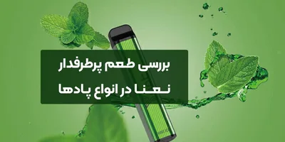 بررسی طعم پرطرفدار نعنا در انواع پادها
