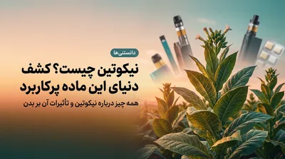 نیکوتین چیست؟ همه چیز درباره این ماده پرکاربرد