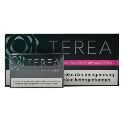 سیگار ترا بلک گرین اندونزی | طعم نعنا یخ TEREA INDONESIA BLACK GREEN
